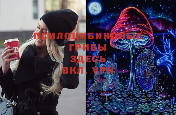 шишки Баксан
