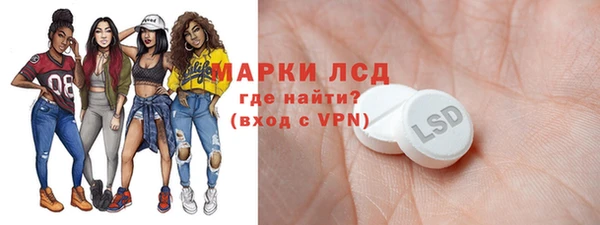шишки Баксан