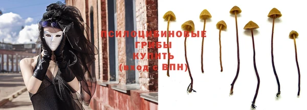шишки Баксан