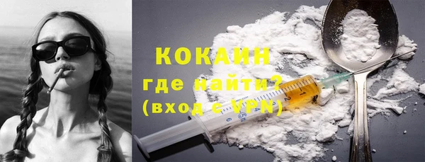 шишки Баксан
